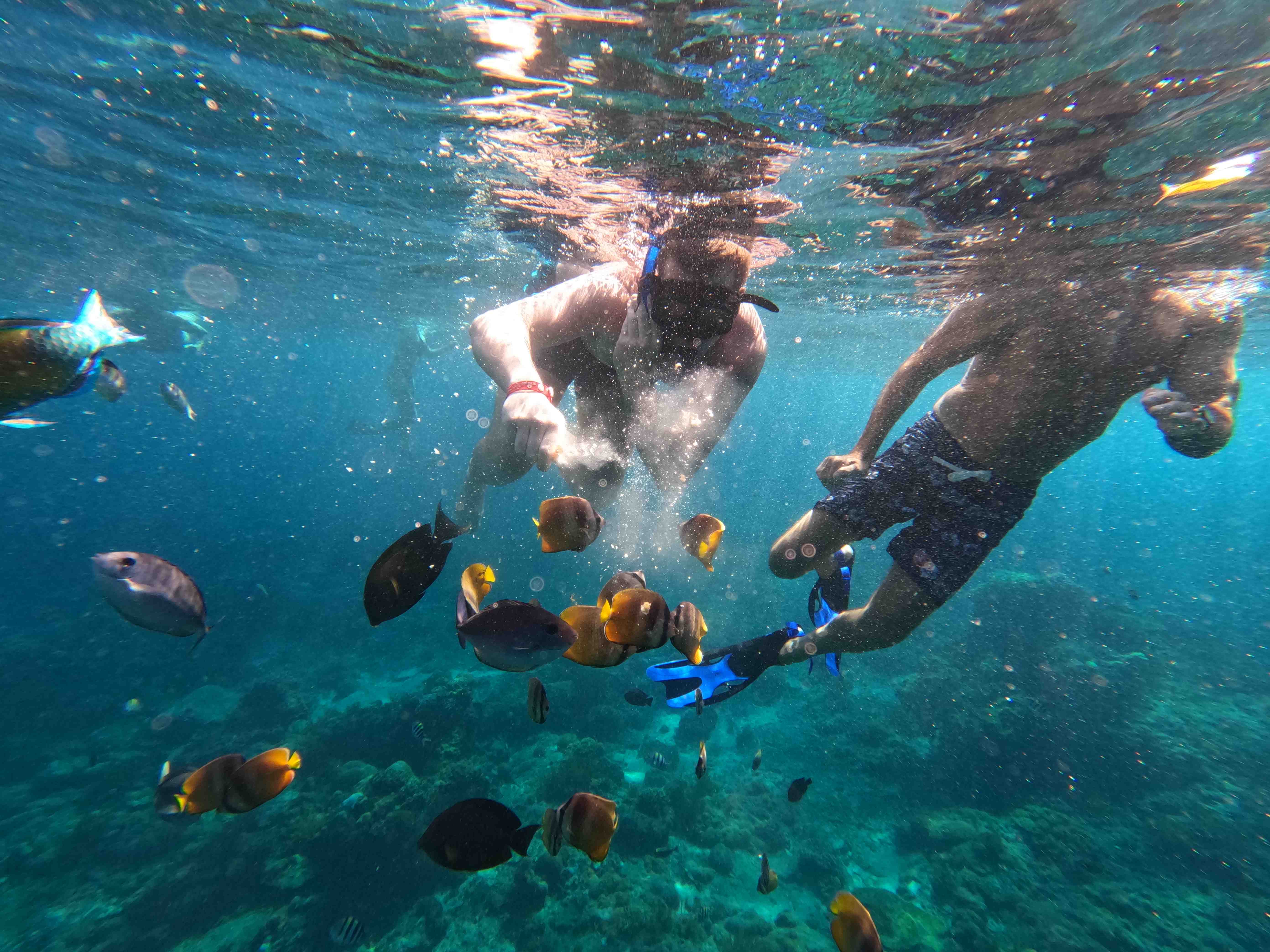Premium Nusa Lembongan Snorkeling And Island Tour Lembongan Holiday